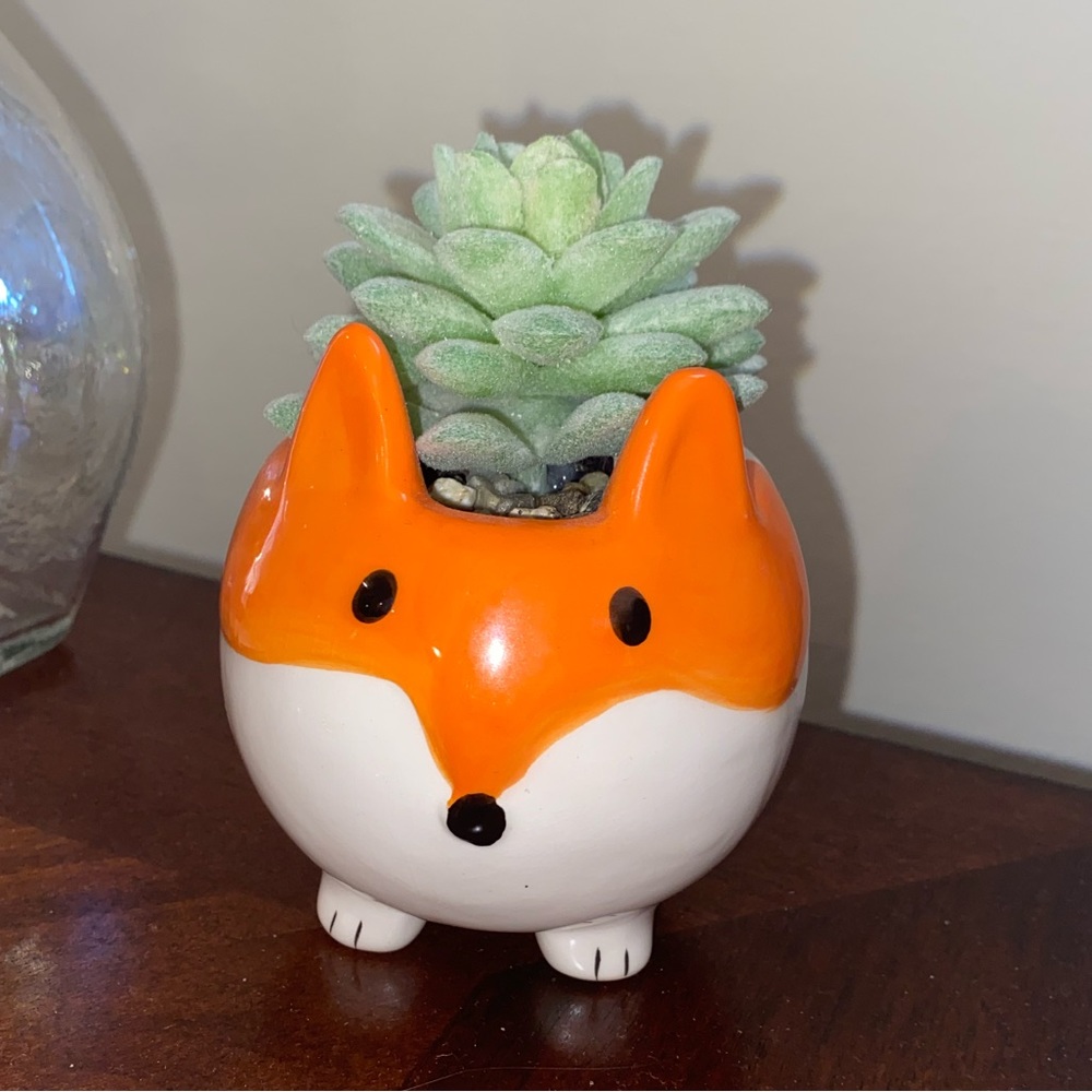Faux/Fake Fox Succulent Home Decor